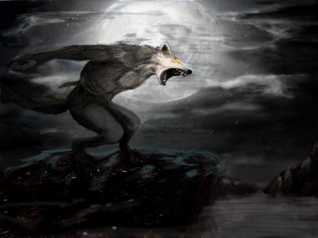 Black Werewolf Wallpapers Top Free Black Werewolf