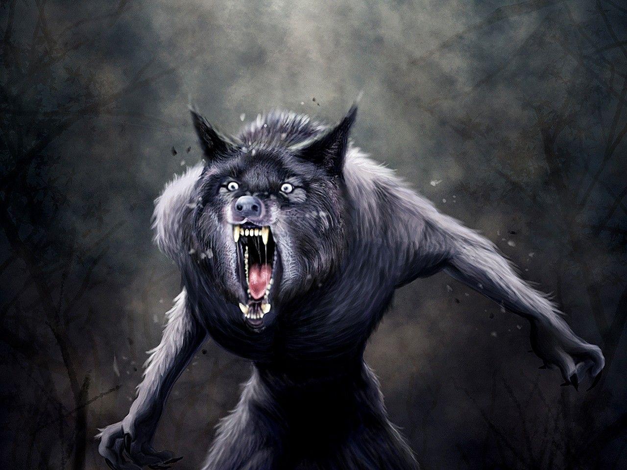 Van Helsing Werewolf Wallpapers Top Free Van Helsing Werewolf