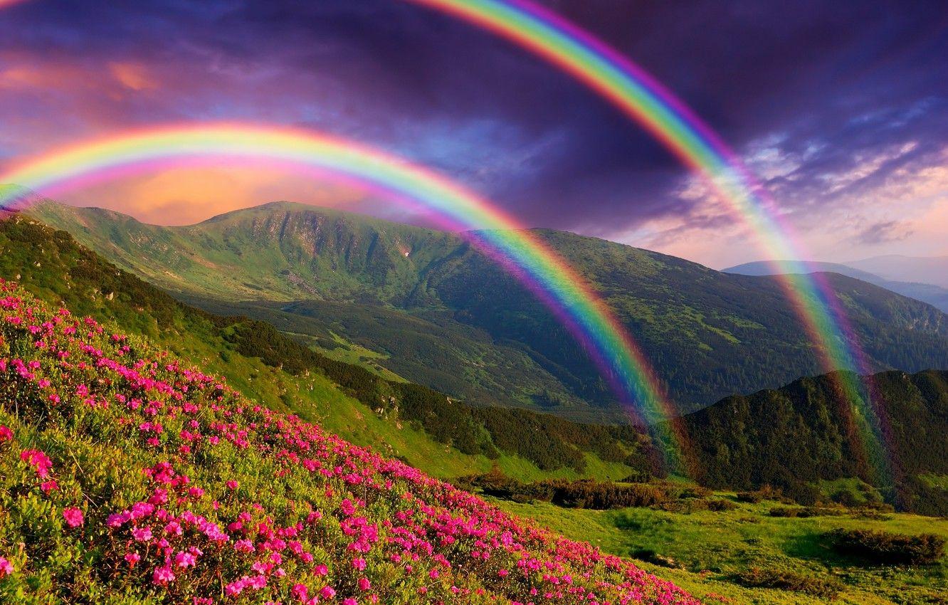Rainbow Landscape Wallpapers - Top Free Rainbow Landscape Backgrounds -  Wallpaperaccess