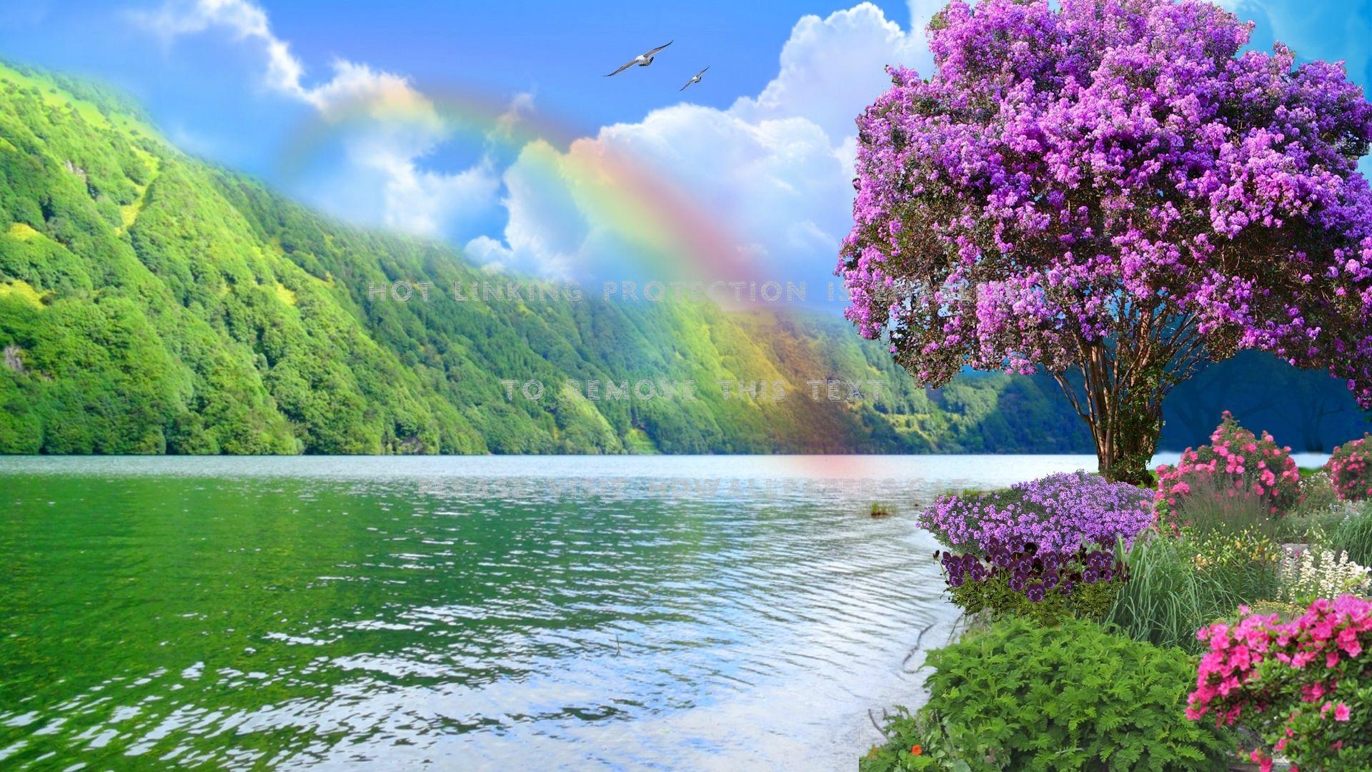 Natural Rainbow Wallpapers Top Free Natural Rainbow Backgrounds