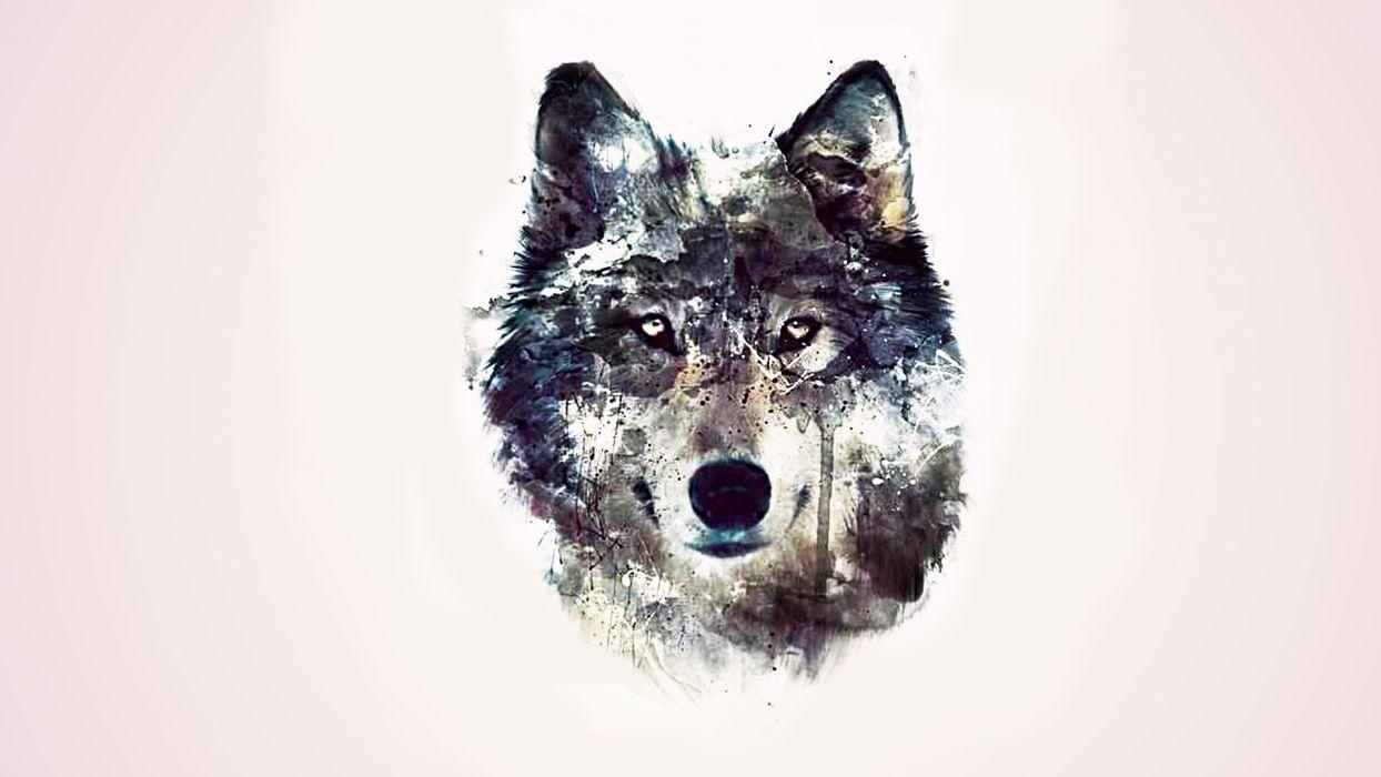 Abstract Wolf Wallpapers Top Free Abstract Wolf Backgrounds
