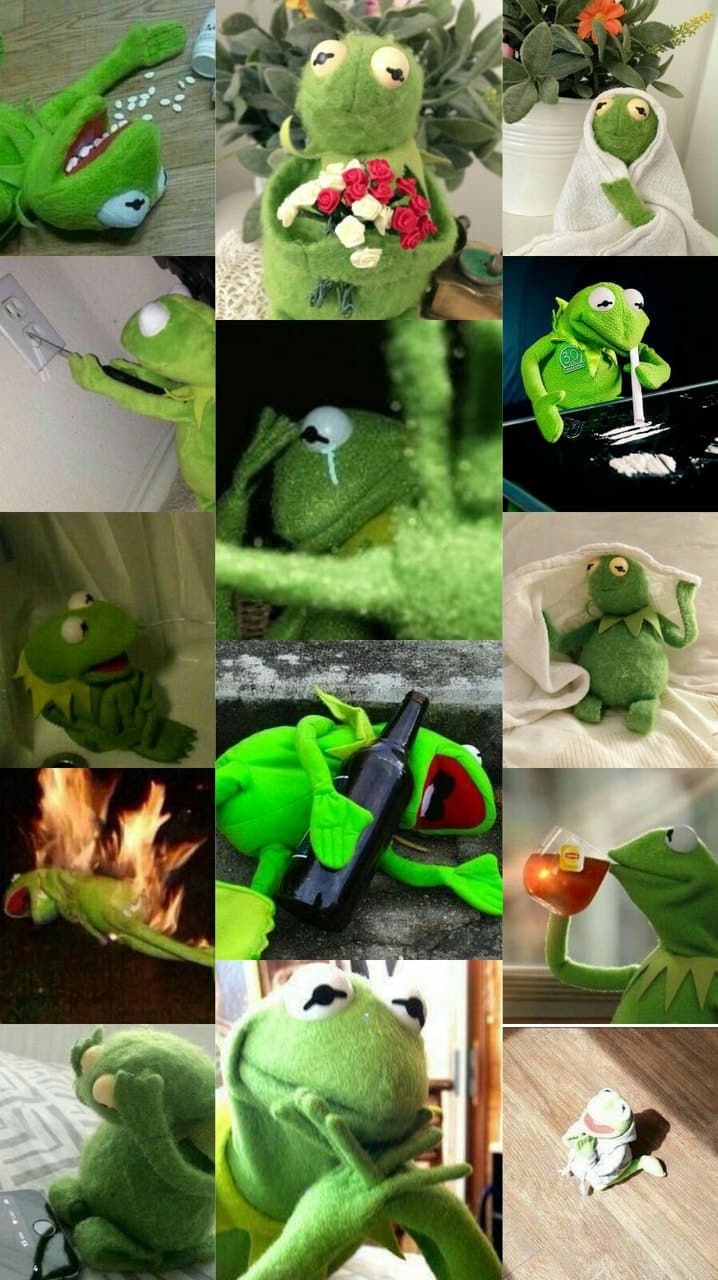 Kermit the Frog Phone Wallpapers Top Free Kermit the Frog Phone