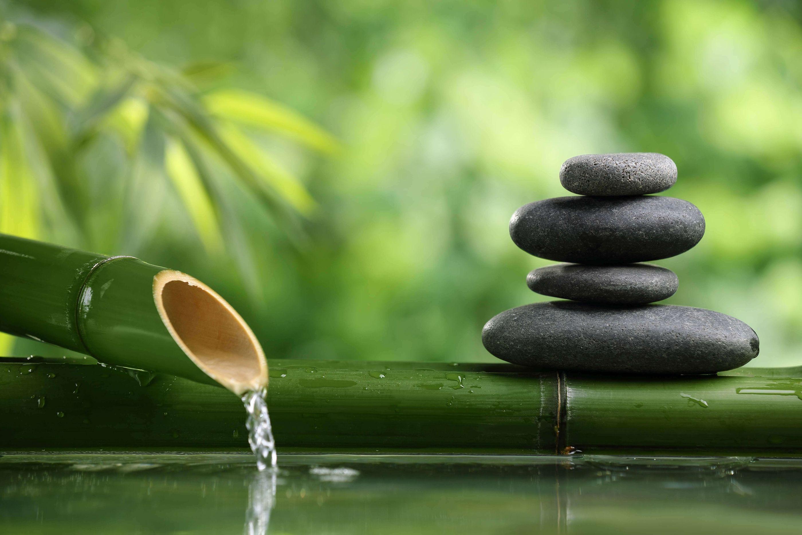 Zen Bamboo Wallpapers Top Free Zen Bamboo Backgrounds WallpaperAccess