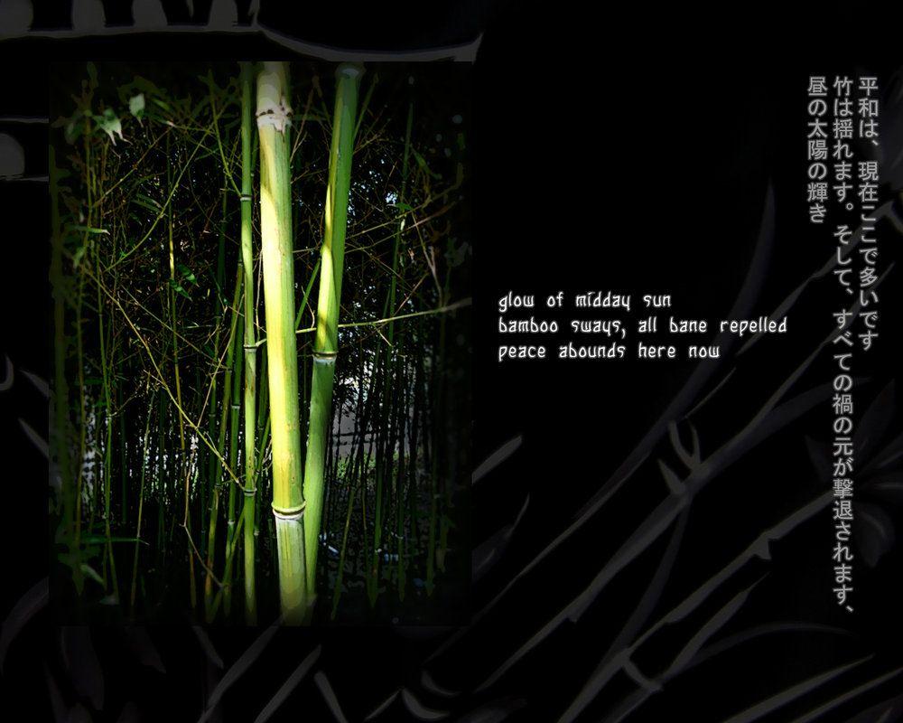 Zen Bamboo Wallpapers Top Free Zen Bamboo Backgrounds WallpaperAccess