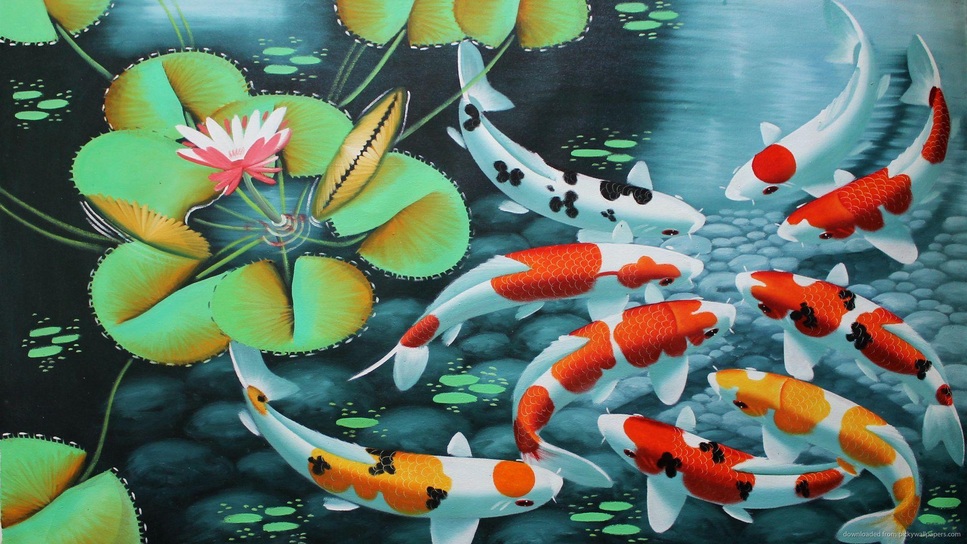 Koi Wallpapers Top Free Koi Backgrounds WallpaperAccess