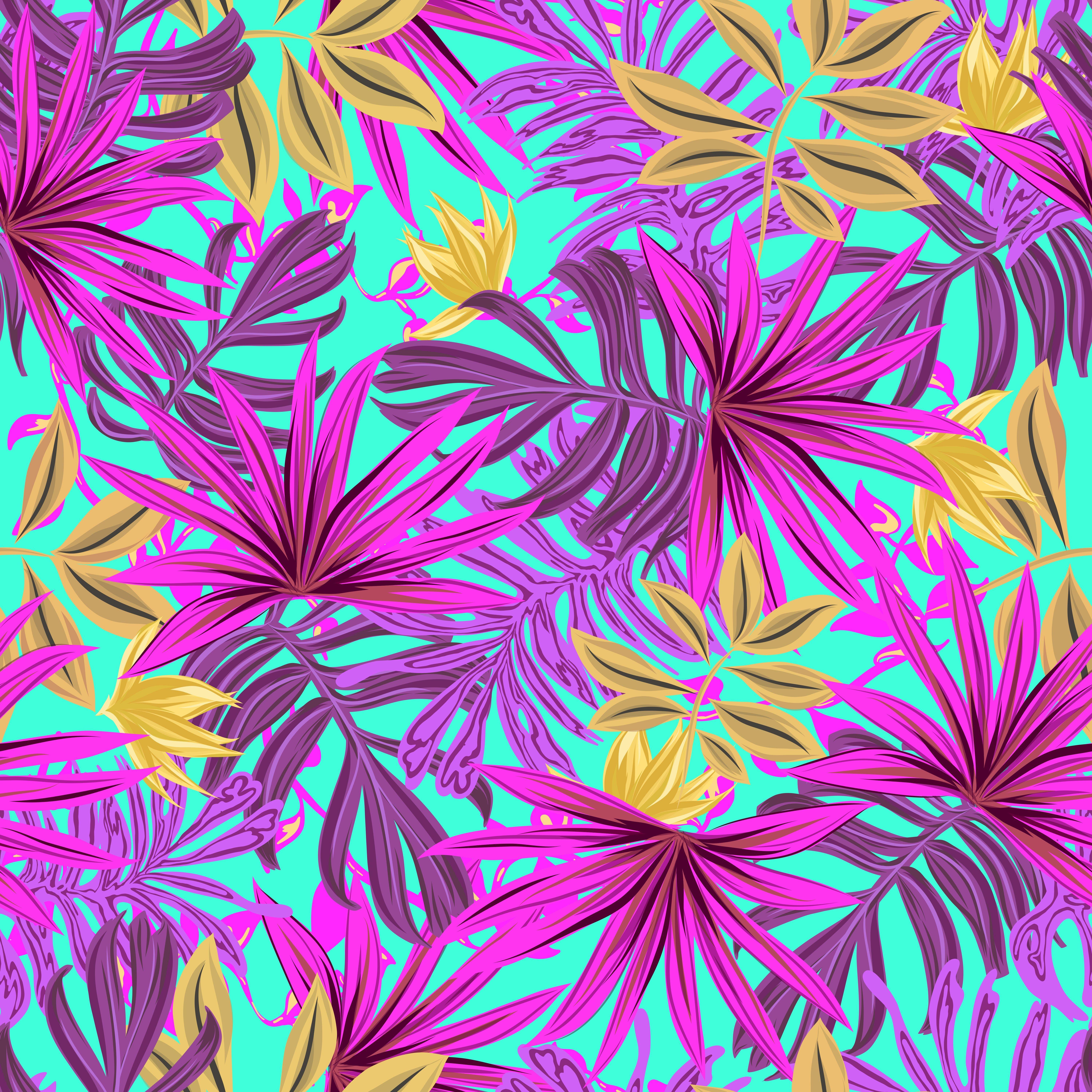 HD Tropical Wallpapers Top Free HD Tropical Backgrounds WallpaperAccess