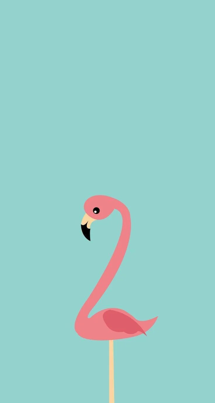 Cartoon Flamingo Wallpapers Top Free Cartoon Flamingo Backgrounds WallpaperAccess