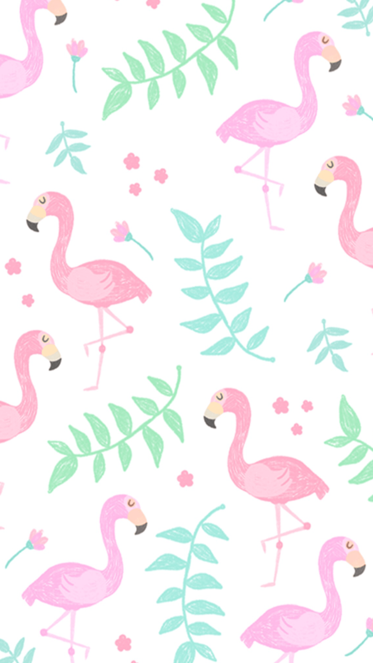 Cartoon Flamingo Wallpapers Top Free Cartoon Flamingo Backgrounds WallpaperAccess