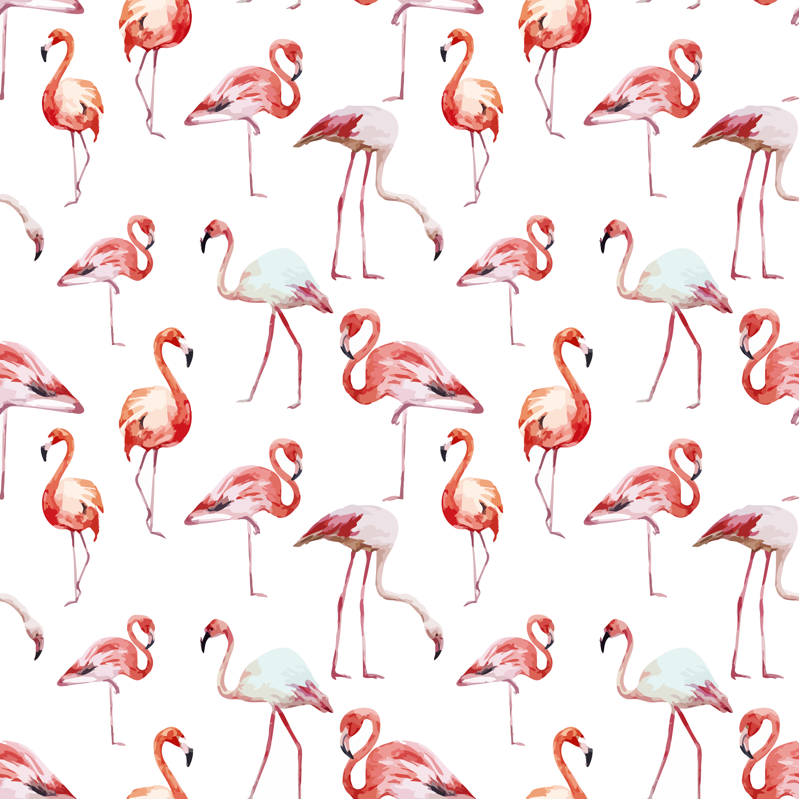 Cartoon Flamingo Wallpapers Top Free Cartoon Flamingo Backgrounds WallpaperAccess