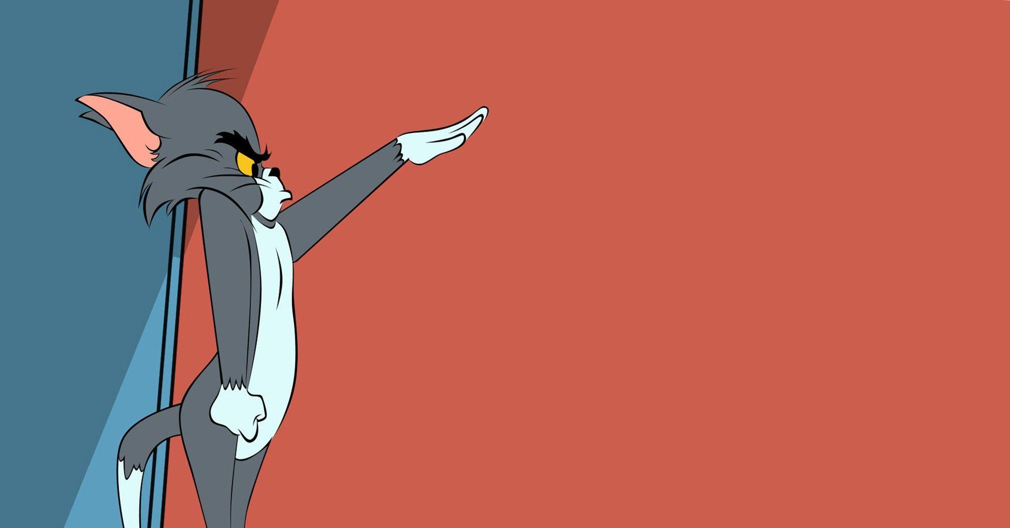 Tom and Jerry Wallpapers Top Free Tom and Jerry Backgrounds