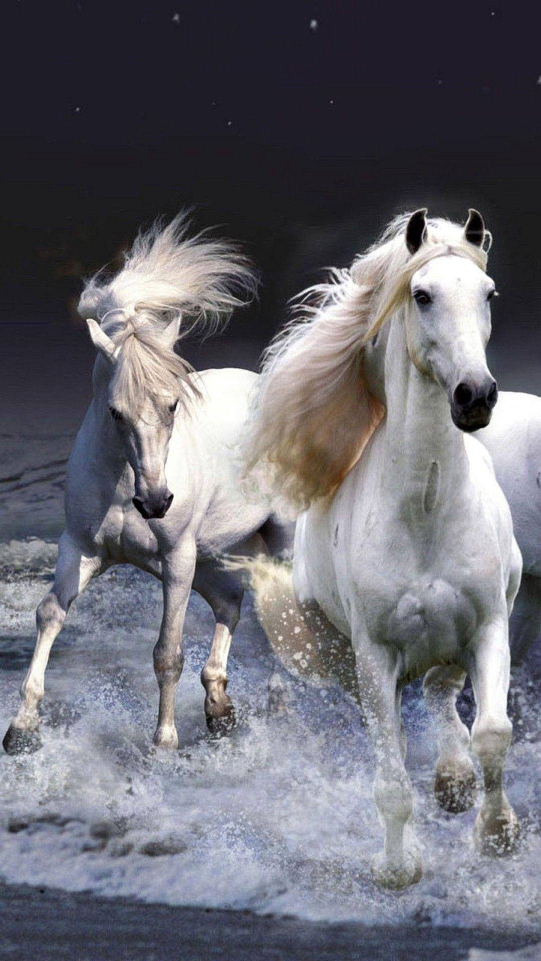 Horse iPhone Wallpapers Top Free Horse iPhone Backgrounds