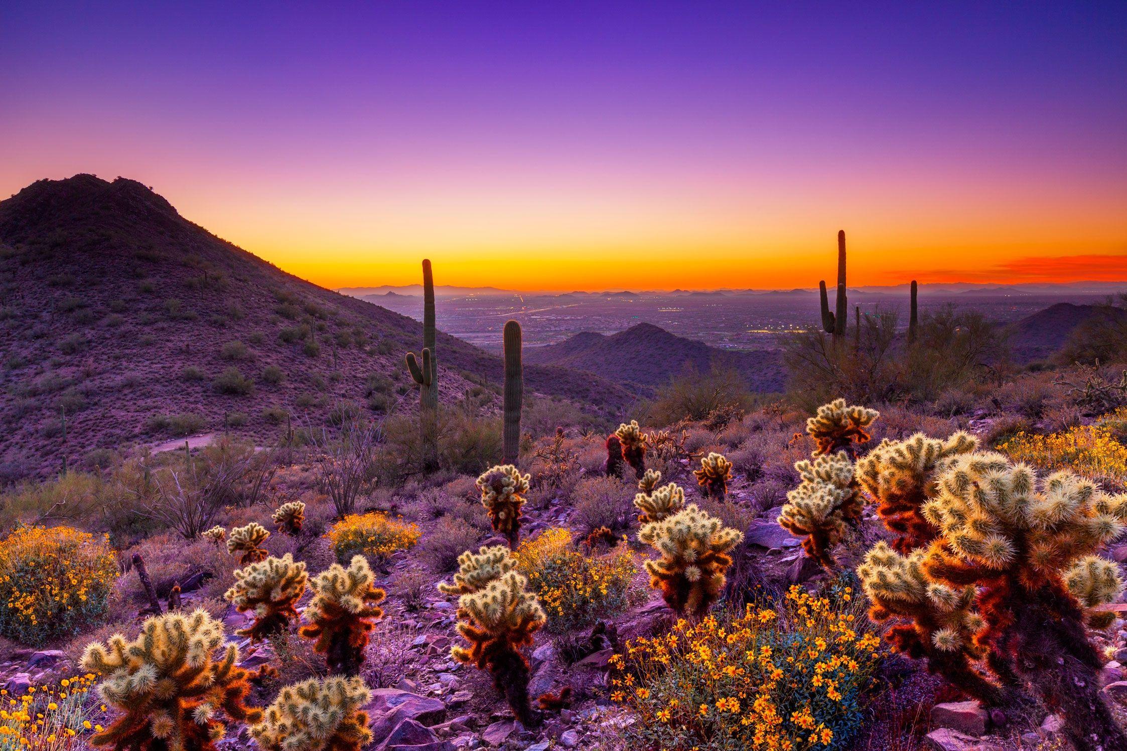 Phoenix Arizona Wallpapers Top Free Phoenix Arizona Backgrounds