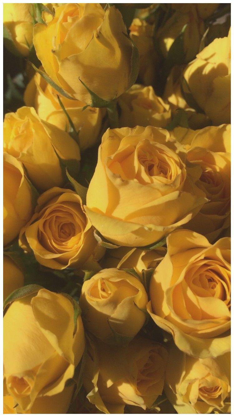 Warm Aesthetic Wallpapers Top Free Warm Aesthetic Backgrounds