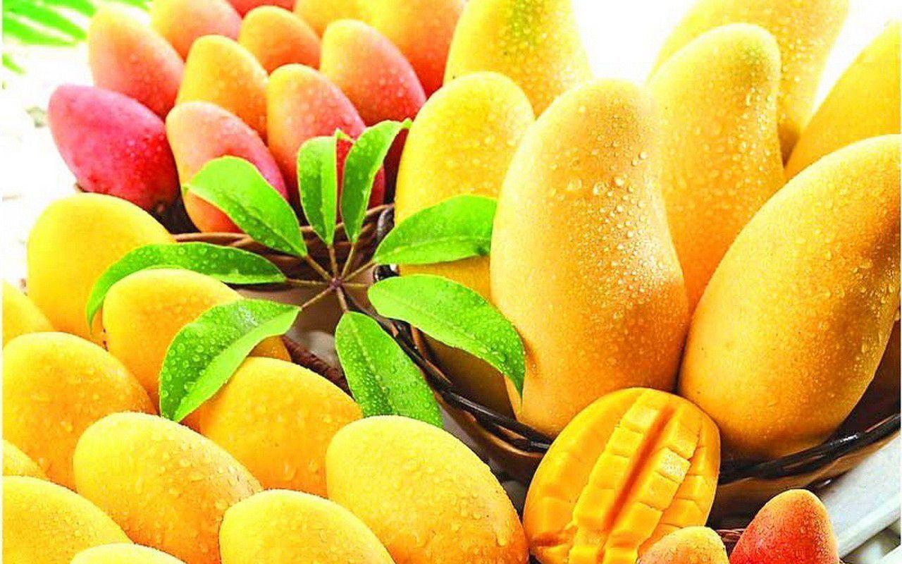 Fruit Mango Wallpapers - Top Free Fruit Mango Backgrounds - Wallpaperaccess