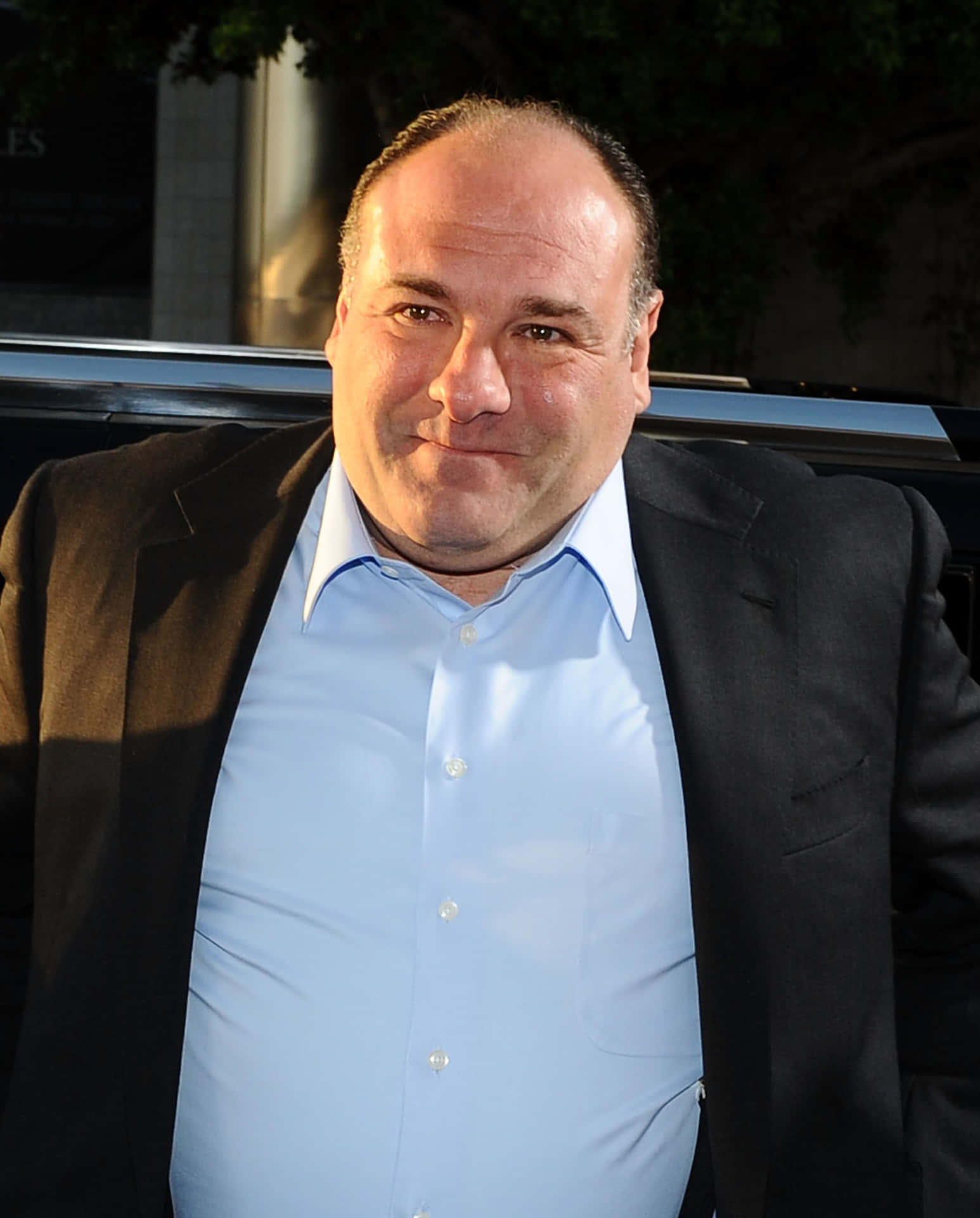 James Gandolfini Wallpapers Top Free James Gandolfini Backgrounds