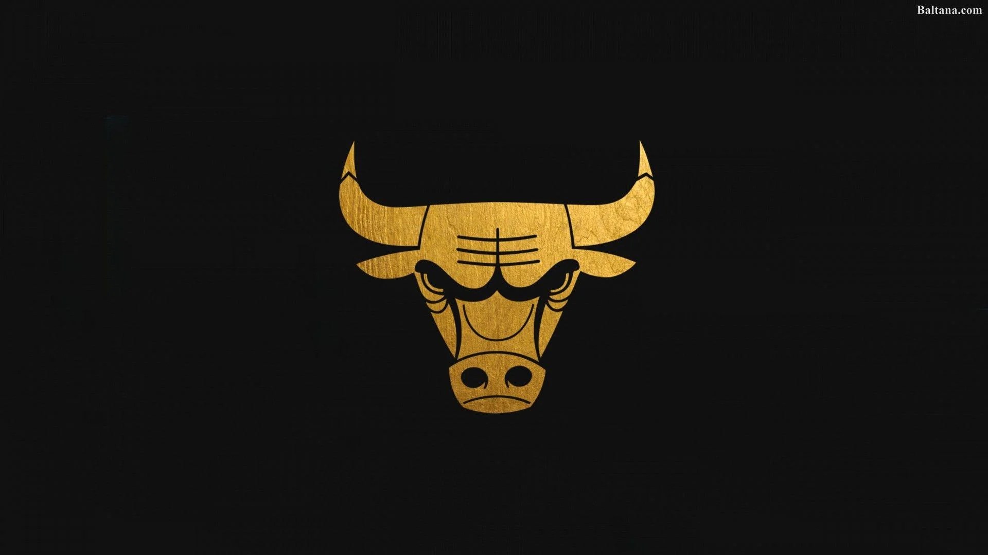 Chicago Bulls Logo Wallpapers Top Free Chicago Bulls Logo Backgrounds