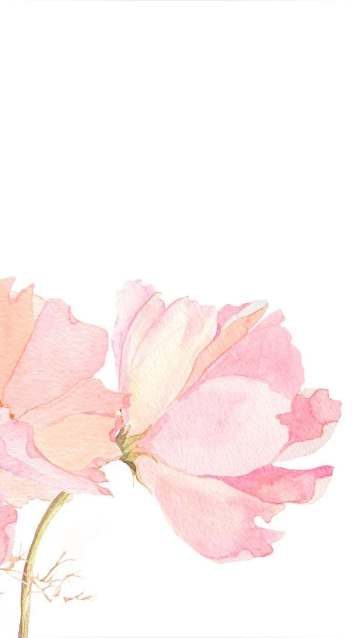 White Phone Wallpapers Top Free White Phone Backgrounds WallpaperAccess