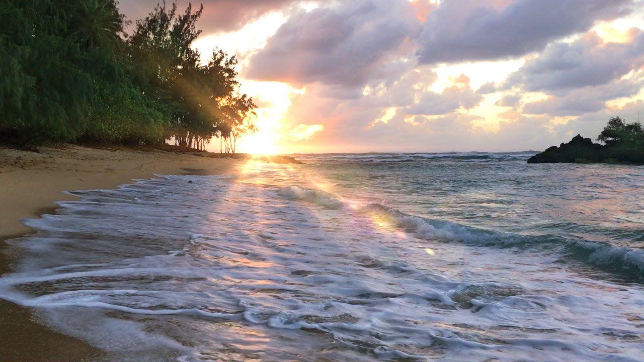 Aesthetic Hawaii Wallpapers Top Free Aesthetic Hawaii Backgrounds