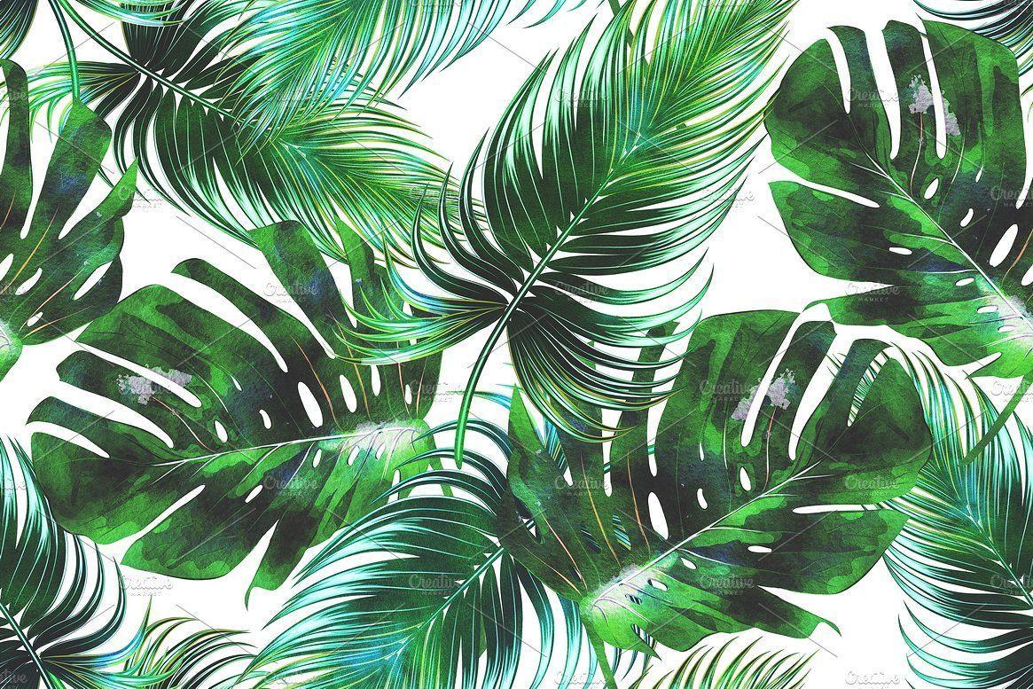 Watercolor Palm Leaves Wallpapers Top Free Watercolor Palm Leaves