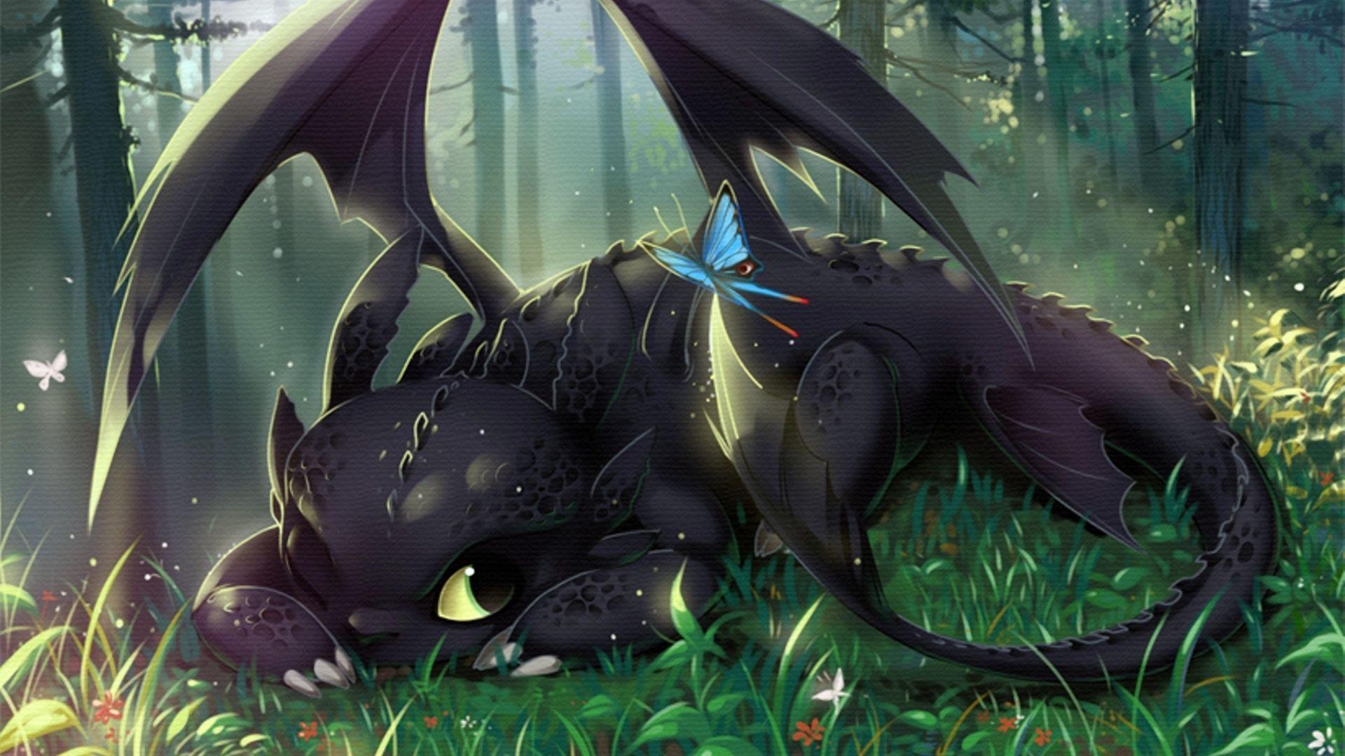 Kawaii Dragon Wallpapers Top Free Kawaii Dragon Backgrounds