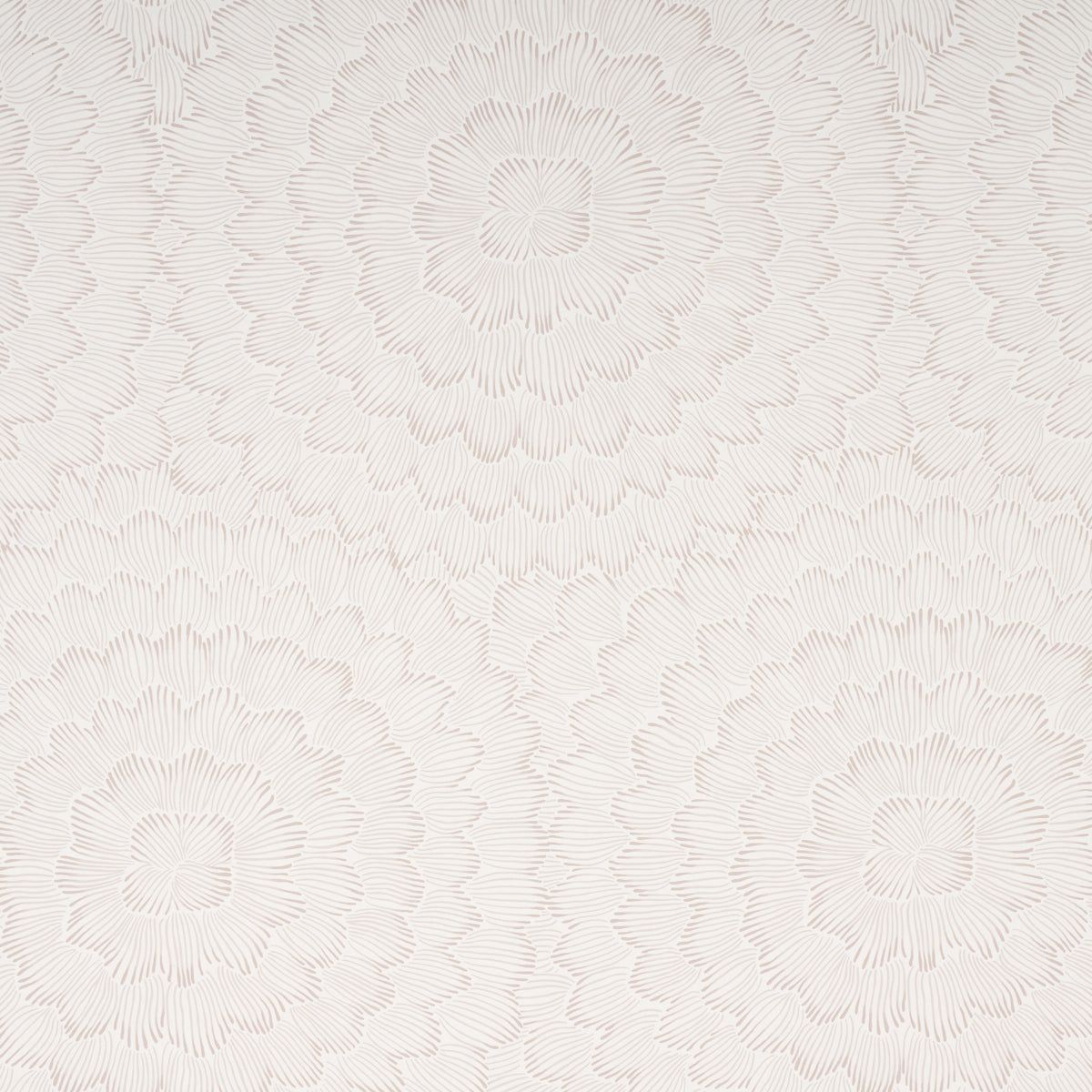 Soft Texture Wallpapers Top Free Soft Texture Backgrounds