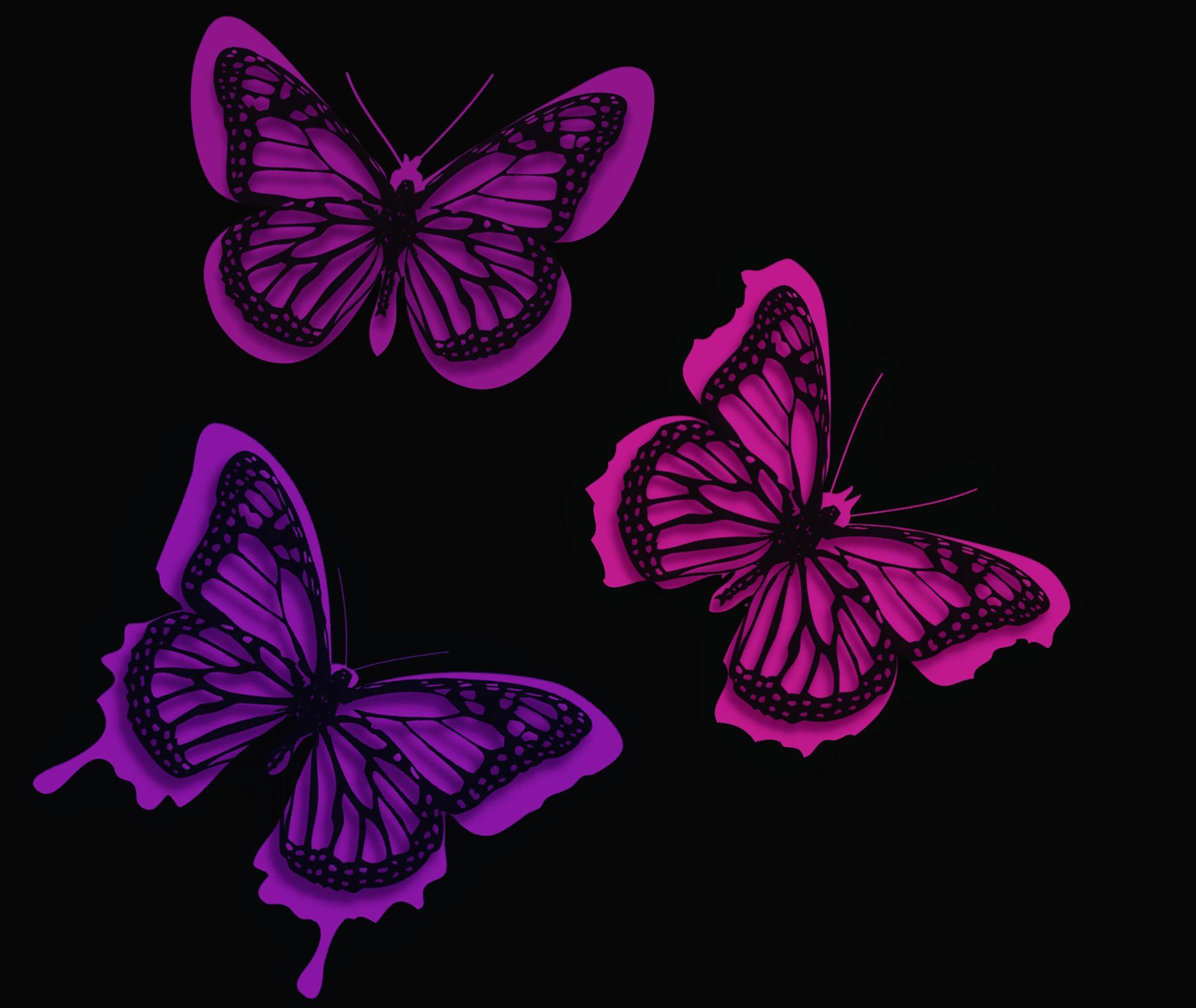 Pink Neon Butterfly Wallpaper