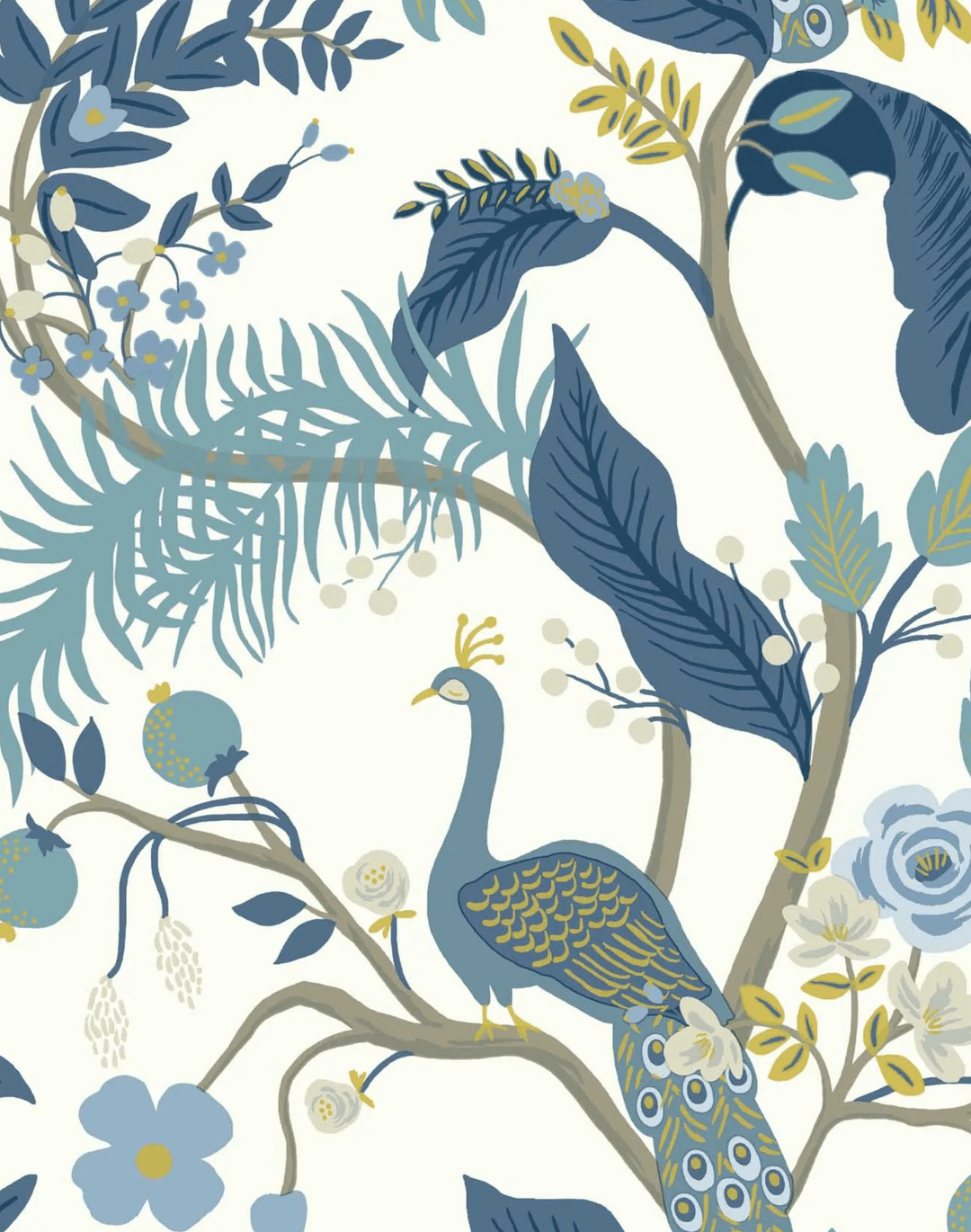 Peacock Blue Wallpapers Top Free Peacock Blue Backgrounds