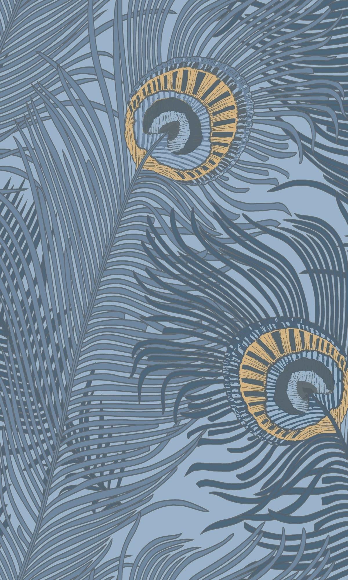 Peacock Blue Wallpapers Top Free Peacock Blue Backgrounds