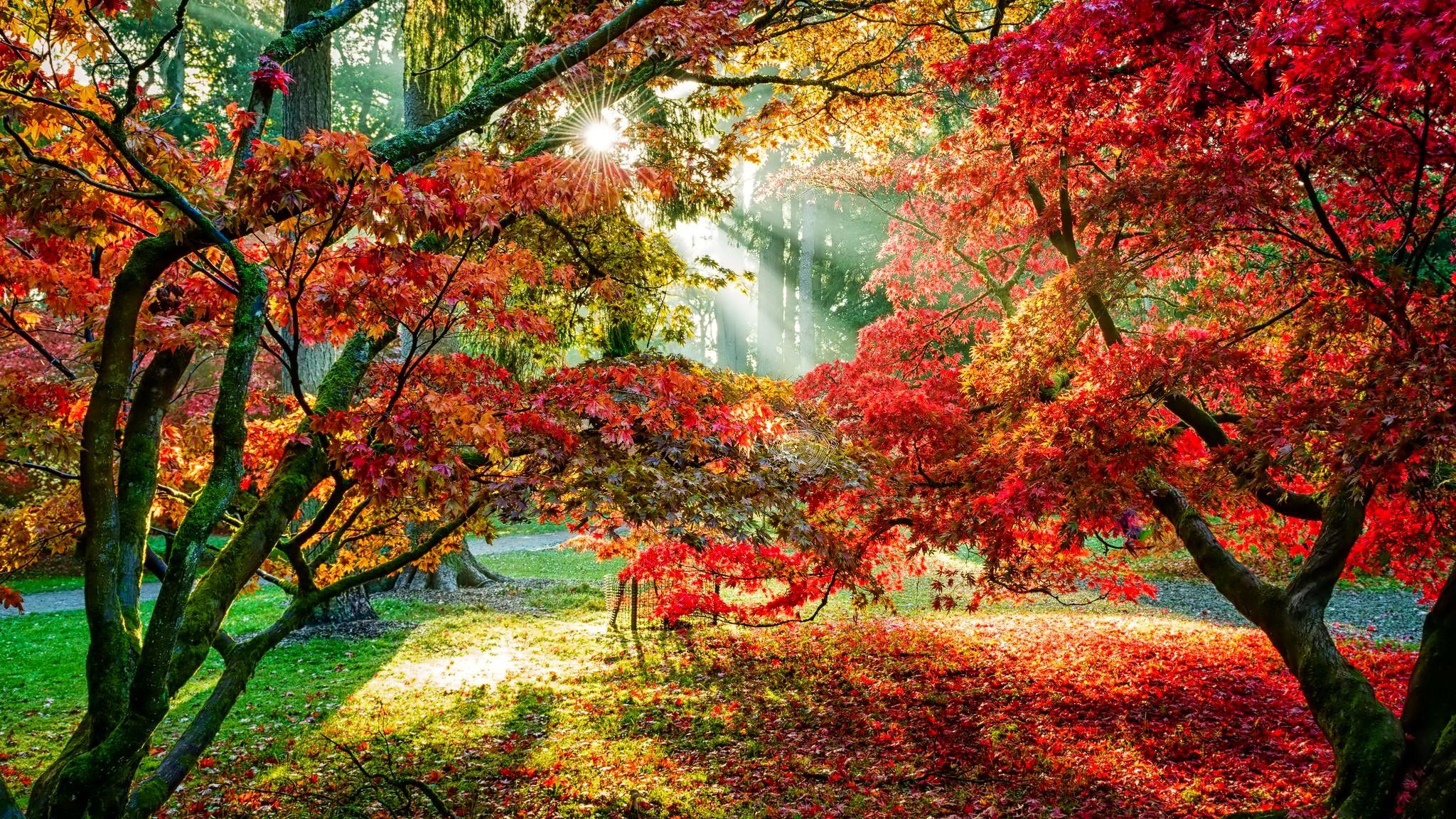 November Fall Wallpapers Top Free November Fall Backgrounds