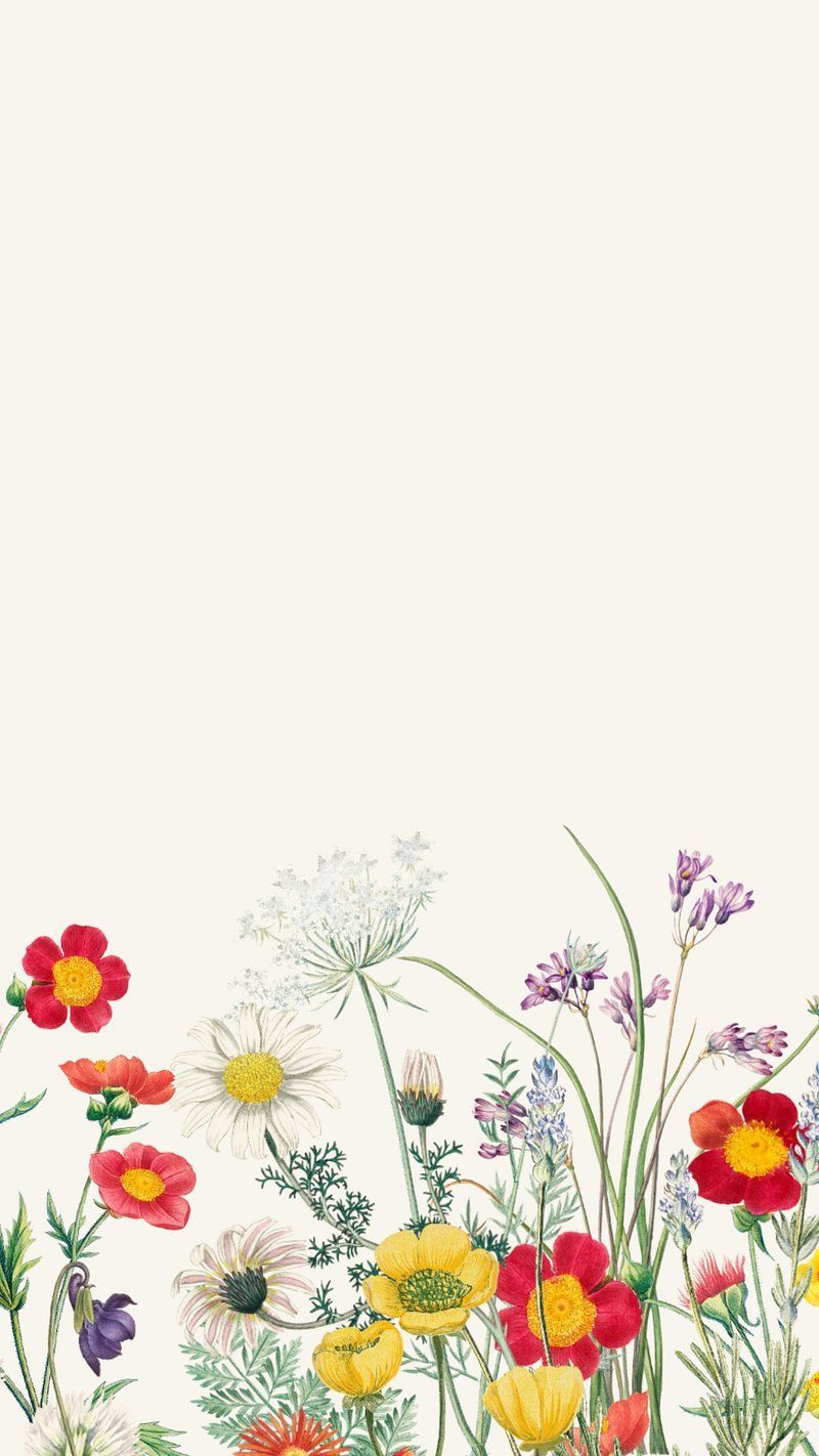 Drawn Flowers Wallpapers Top Free Drawn Flowers Backgrounds