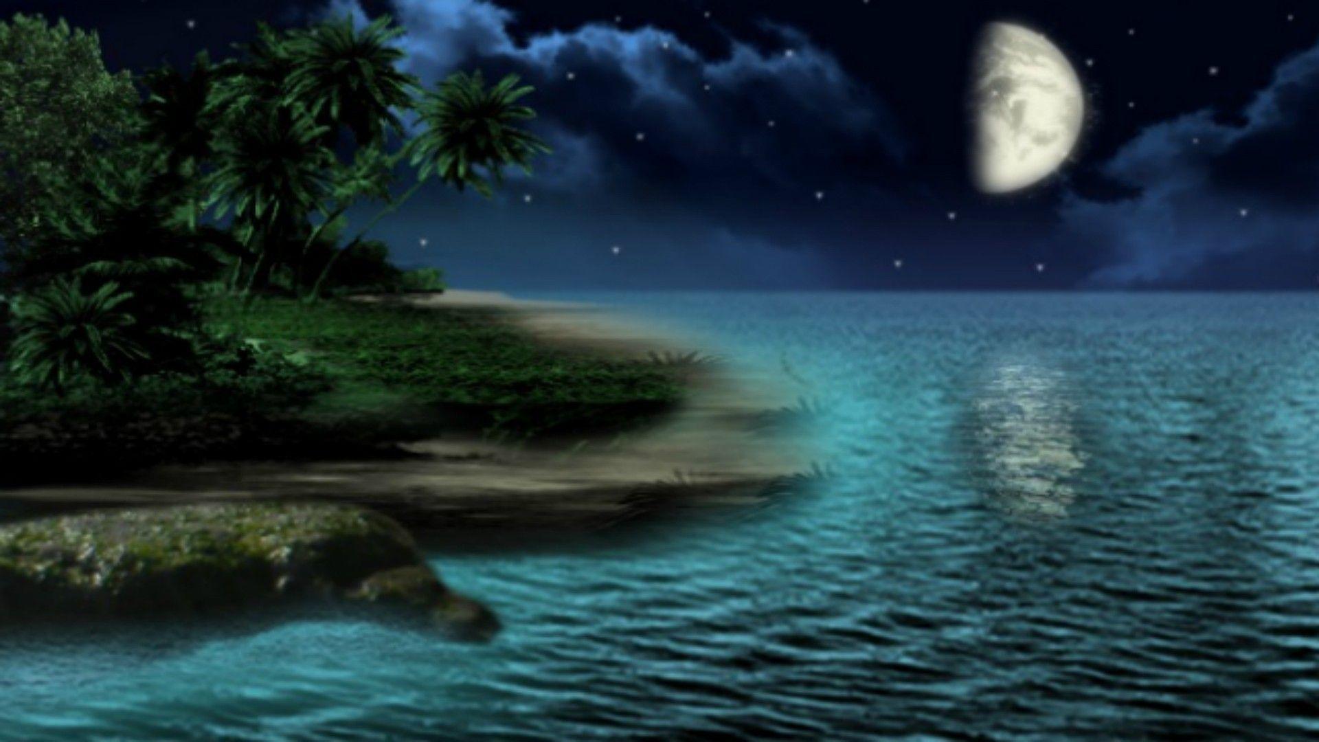 Beach Night Sky Wallpapers Top Free Beach Night Sky Backgrounds