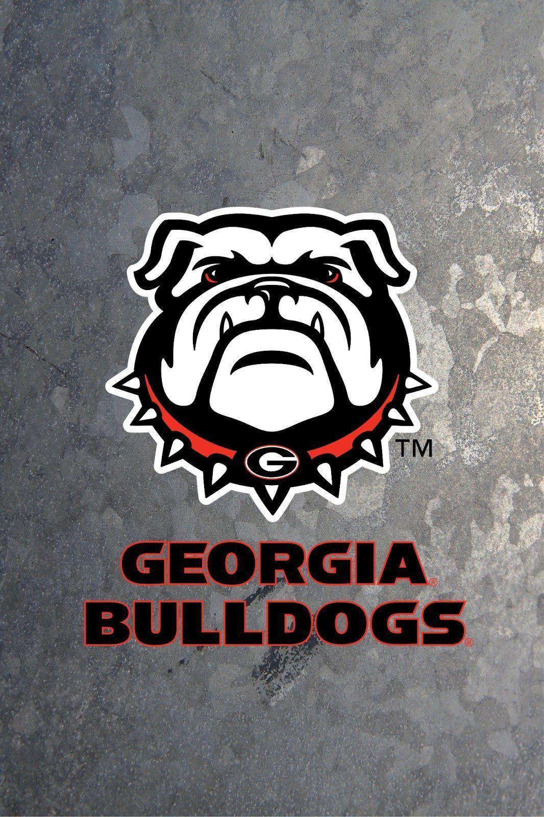 Bulldogs Wallpapers Top Free Bulldogs Backgrounds