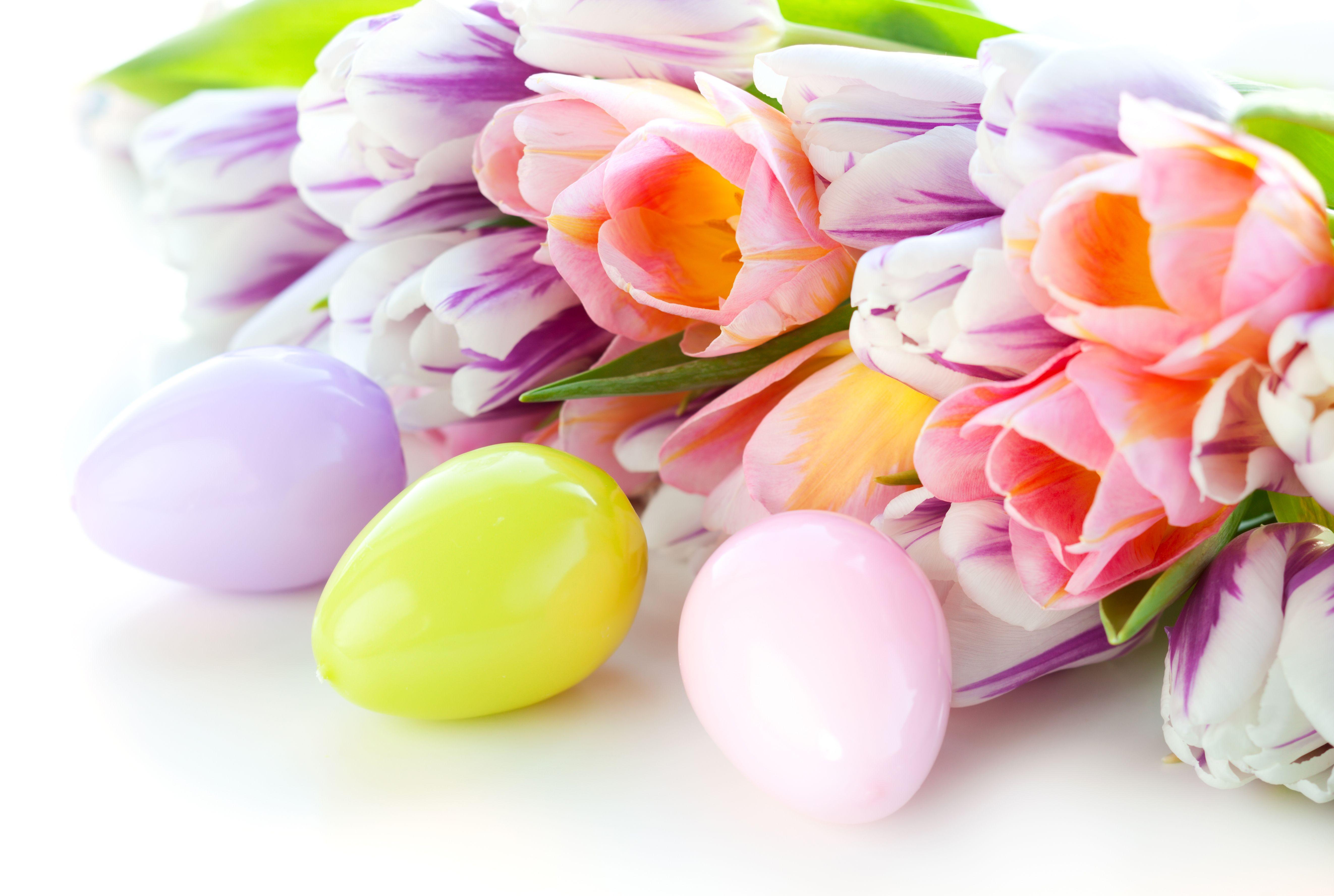 Easter Flowers Wallpapers Top Free Easter Flowers Backgrounds