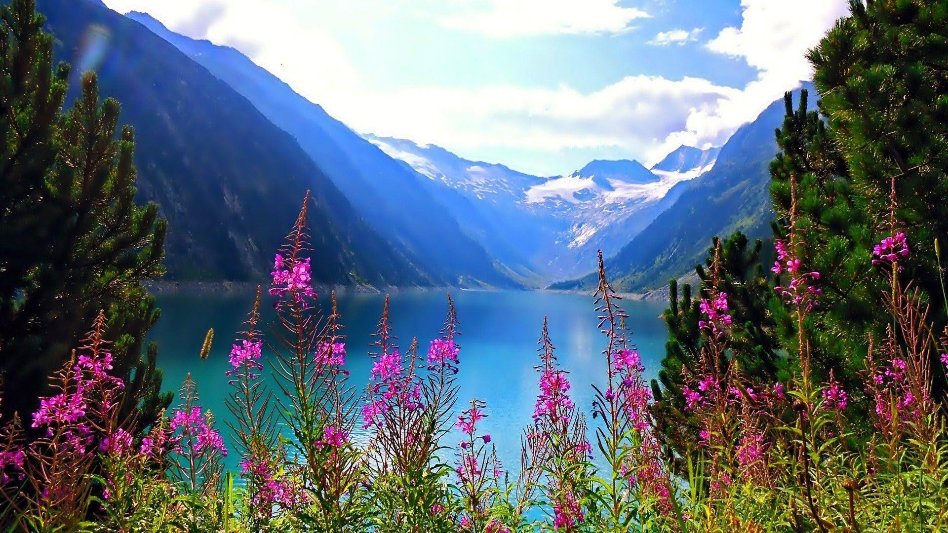 Flowers and Lakes Wallpapers Top Free Flowers and Lakes Backgrounds