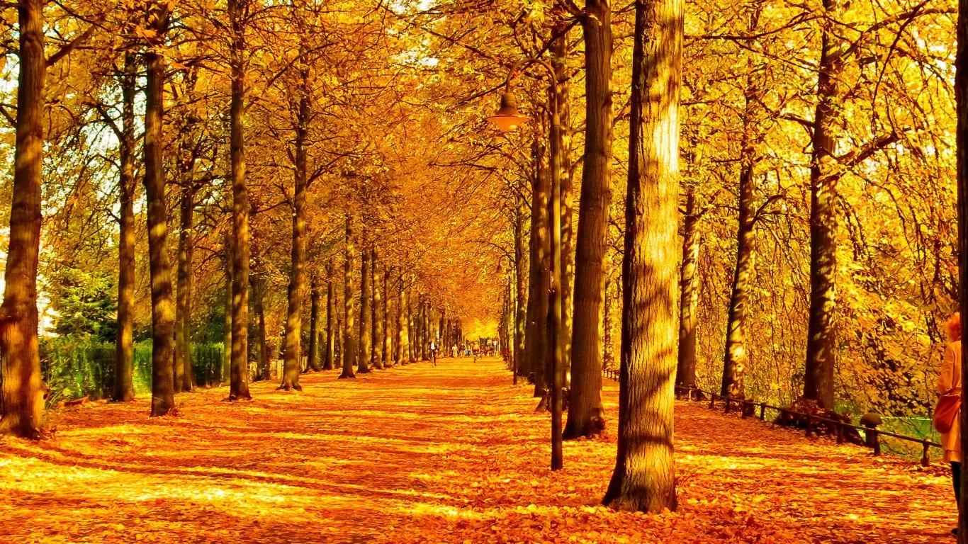 Windows XP Autumn Wallpapers Top Free Windows XP Autumn Backgrounds