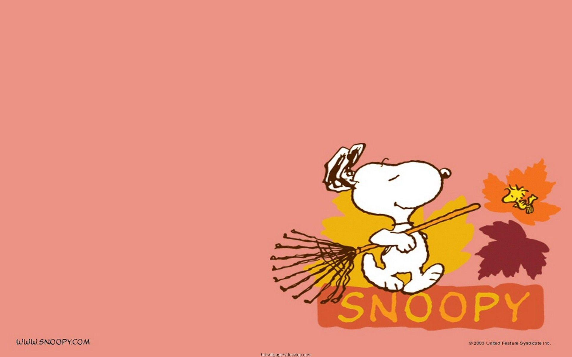 Snoopy Halloween Wallpapers Top Free Snoopy Halloween Backgrounds