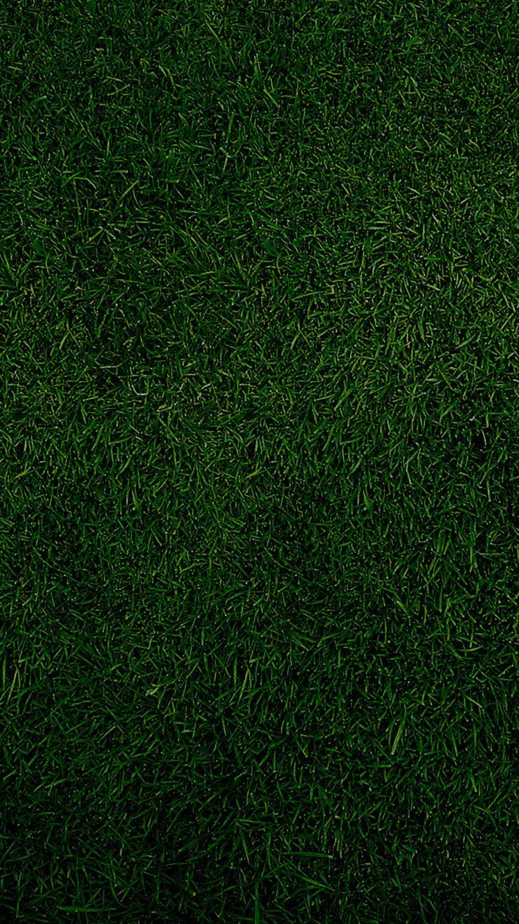 Olive Green iPhone Wallpapers Top Free Olive Green iPhone Backgrounds