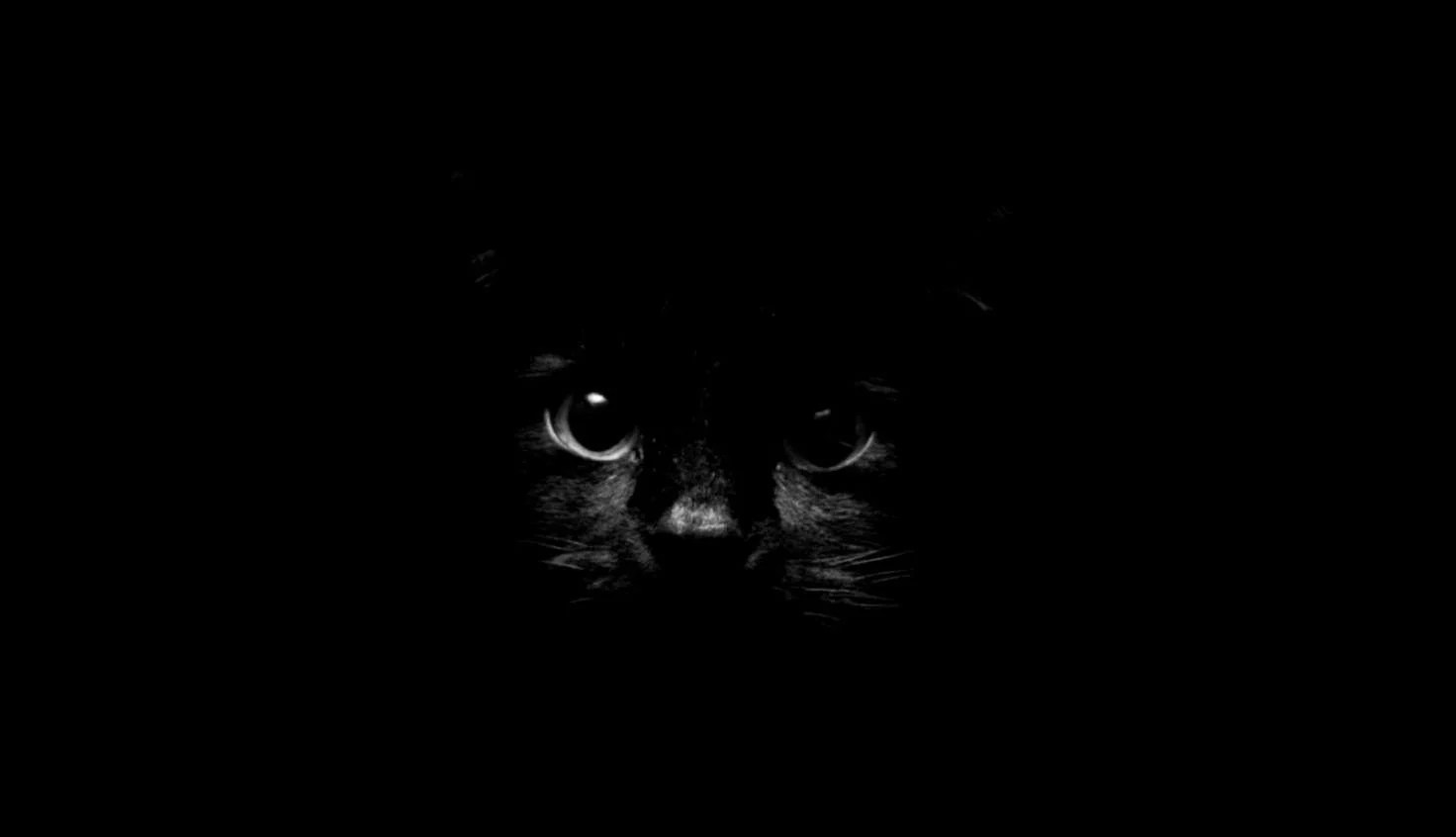 Dark Cute Laptop Wallpapers Top Free Dark Cute Laptop Backgrounds