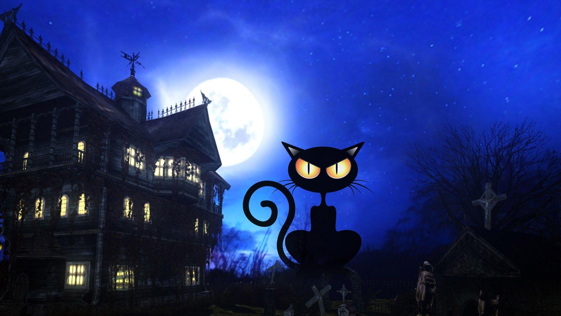 Black Cat Halloween Wallpapers Top Free Black Cat Halloween Backgrounds WallpaperAccess