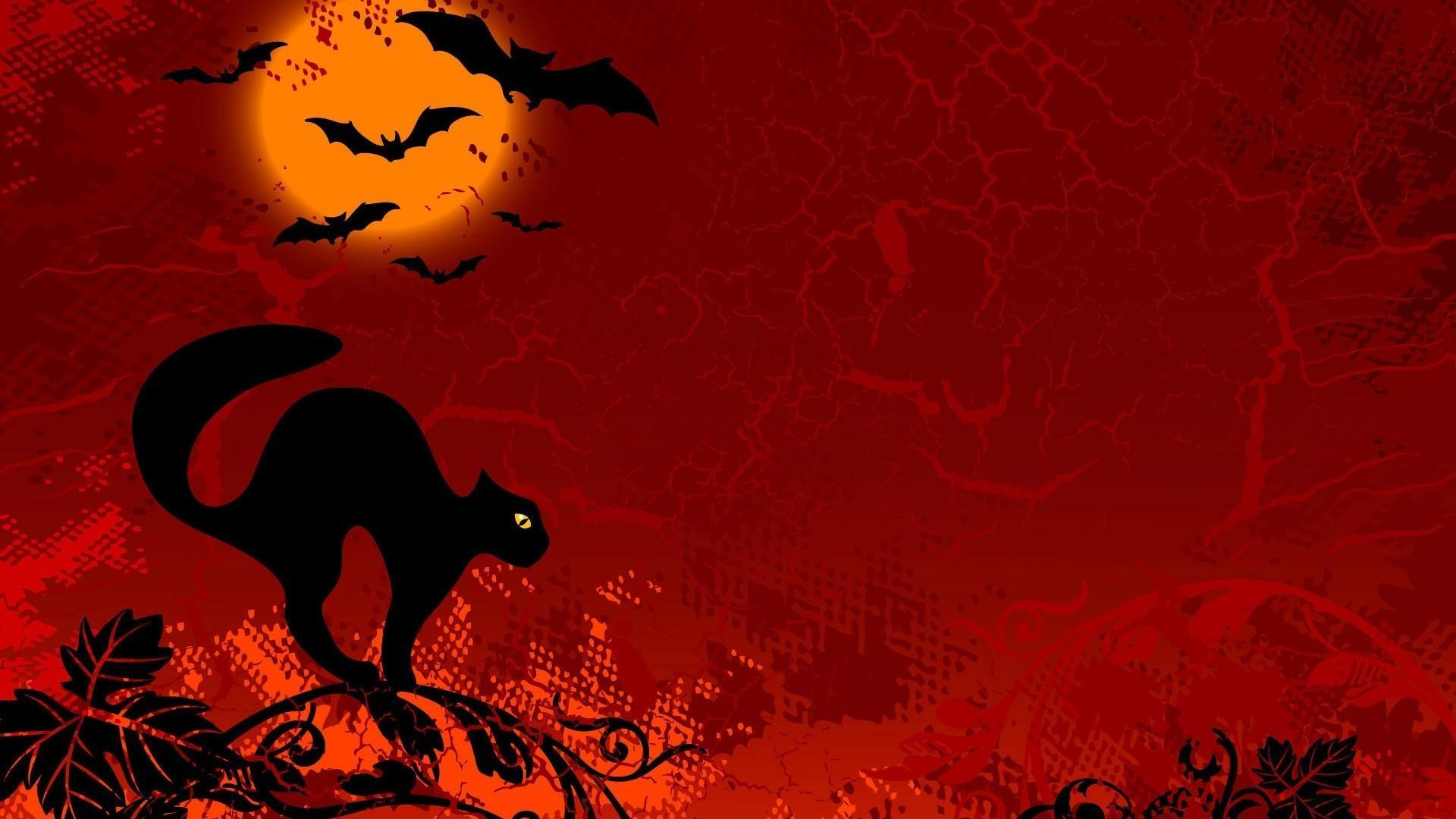 Black Cat Halloween Wallpapers Top Free Black Cat Halloween