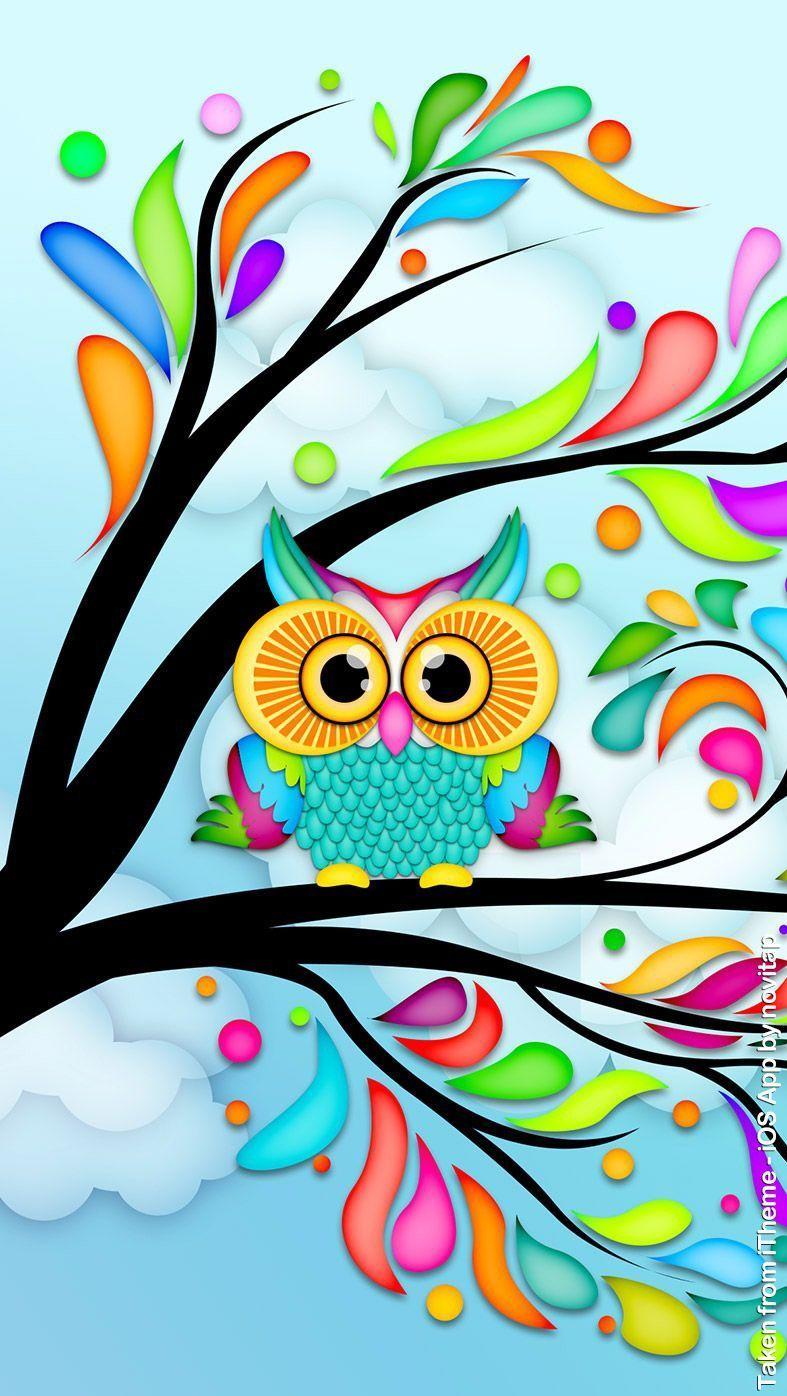 Colorful Owl Wallpapers Top Free Colorful Owl Backgrounds