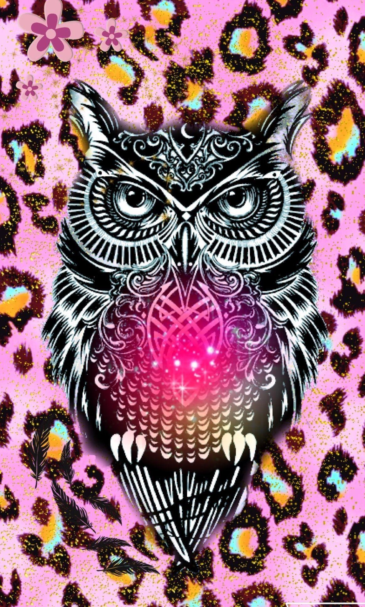 Colorful Owl Wallpapers Top Free Colorful Owl Backgrounds