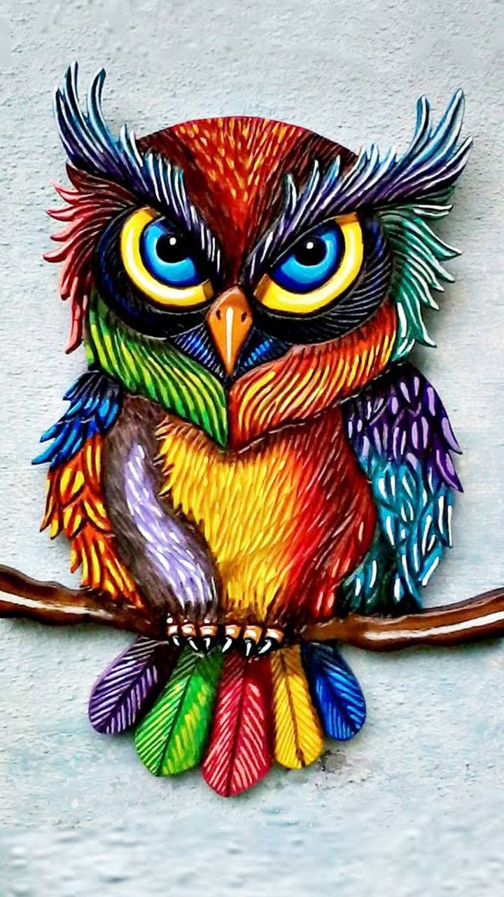 Colorful Owl Wallpapers Top Free Colorful Owl Backgrounds