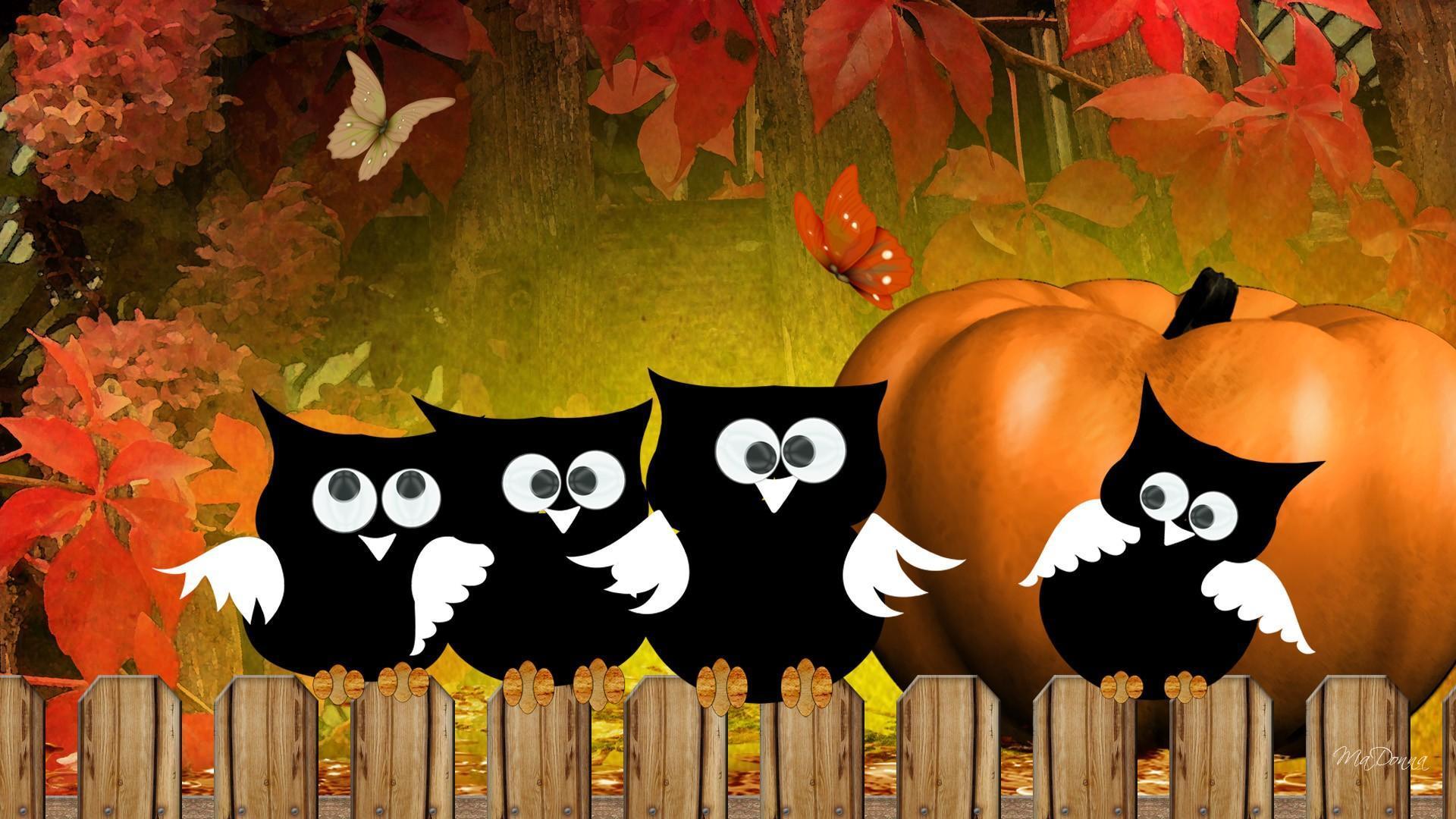 Autumn Owl Desktop Wallpapers Top Free Autumn Owl Desktop Backgrounds