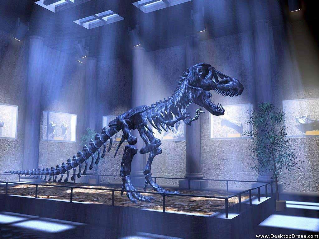 Dinosaur Skeleton Wallpapers Top Free Dinosaur Skeleton Backgrounds