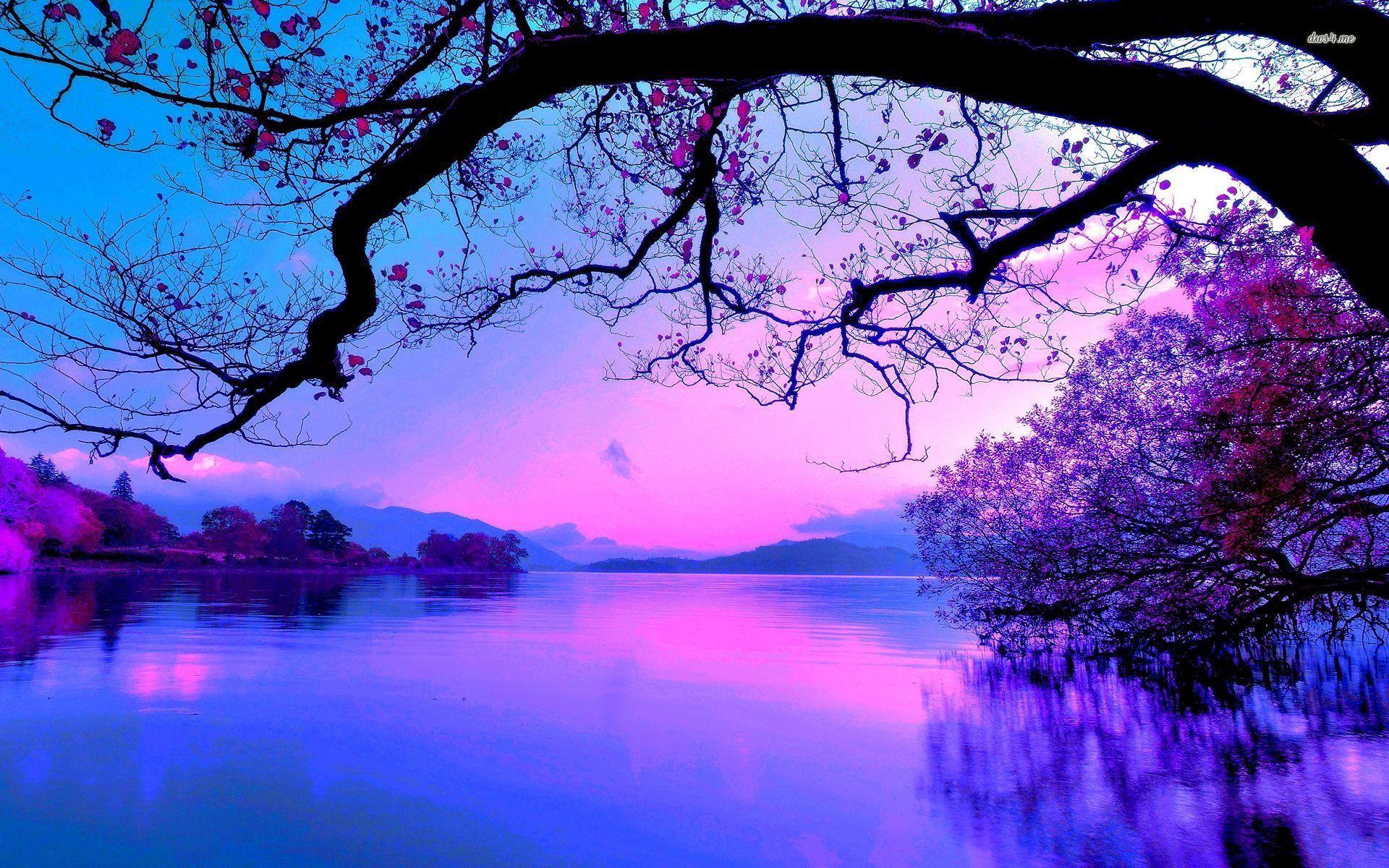 Purple Sunrise Wallpapers Top Free Purple Sunrise Backgrounds