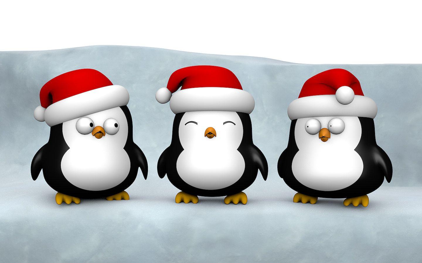 Cute Penguin Wallpapers Top Free Cute Penguin Backgrounds