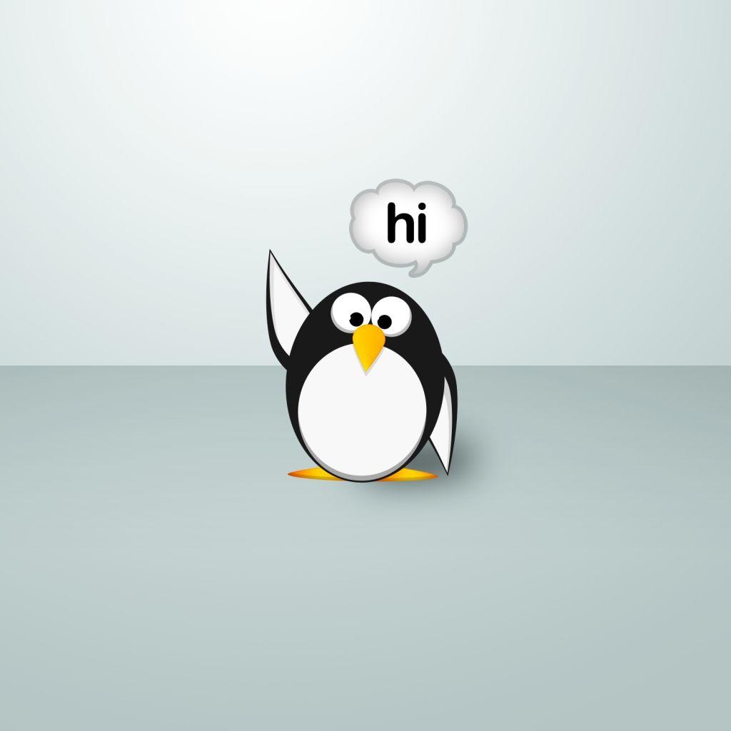 Cute Cartoon Penguin Wallpapers Top Free Cute Cartoon Penguin