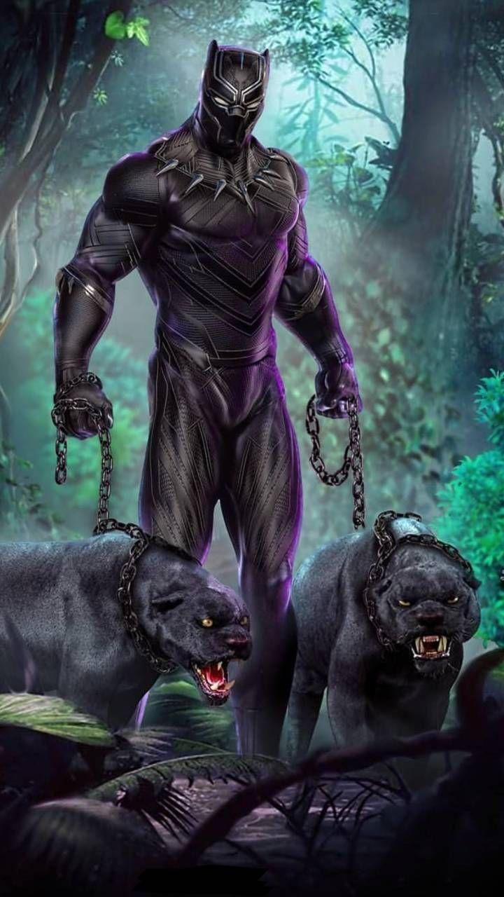 Black Panther Comics Wallpapers Top Free Black Panther Comics