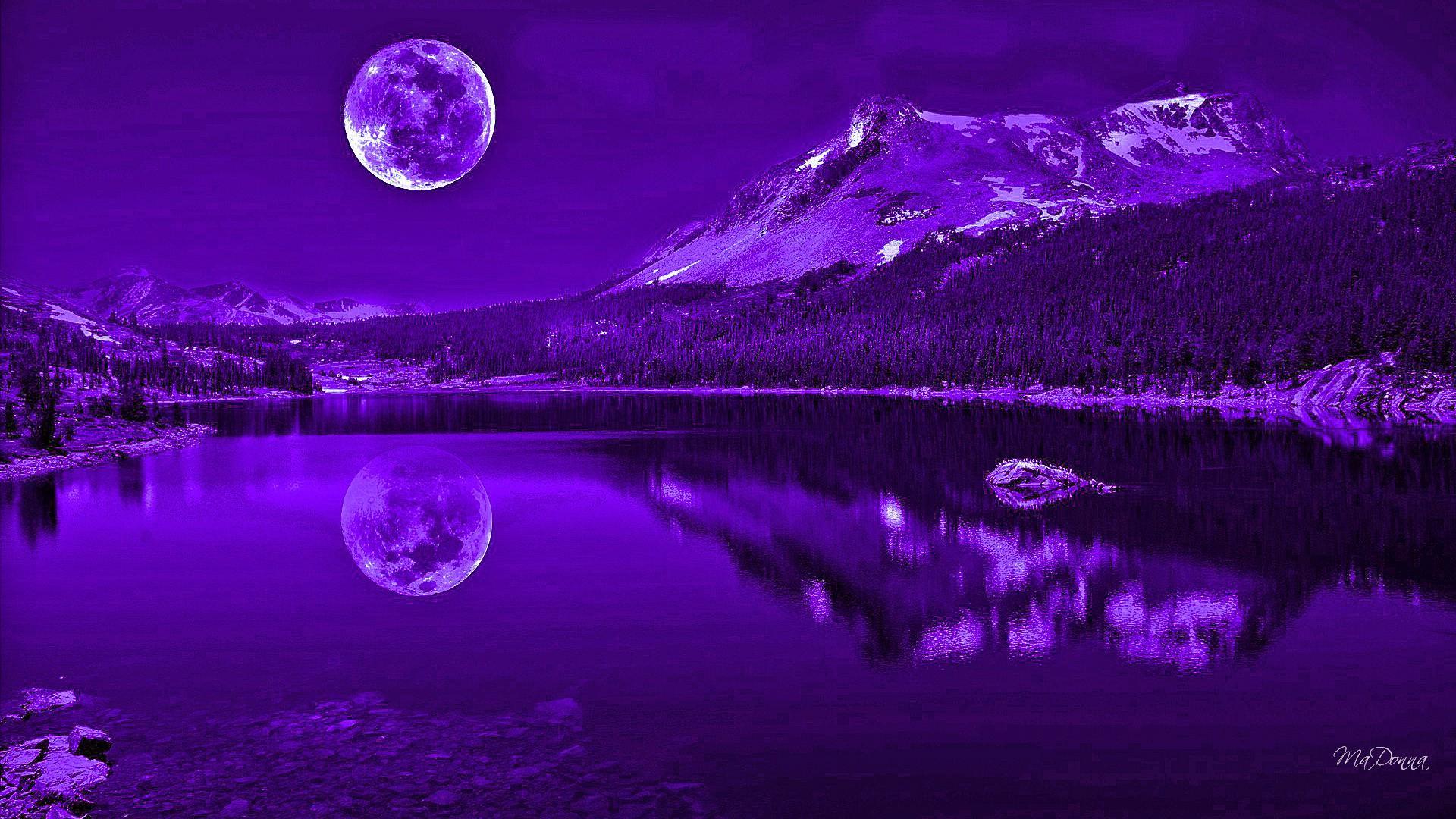 Purple Night Wallpapers Top Free Purple Night Backgrounds